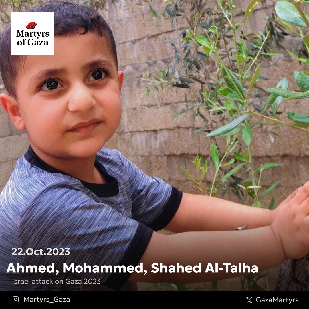 Martyr: Ahmed, Mohammed, and Shahed Al-Talha 2