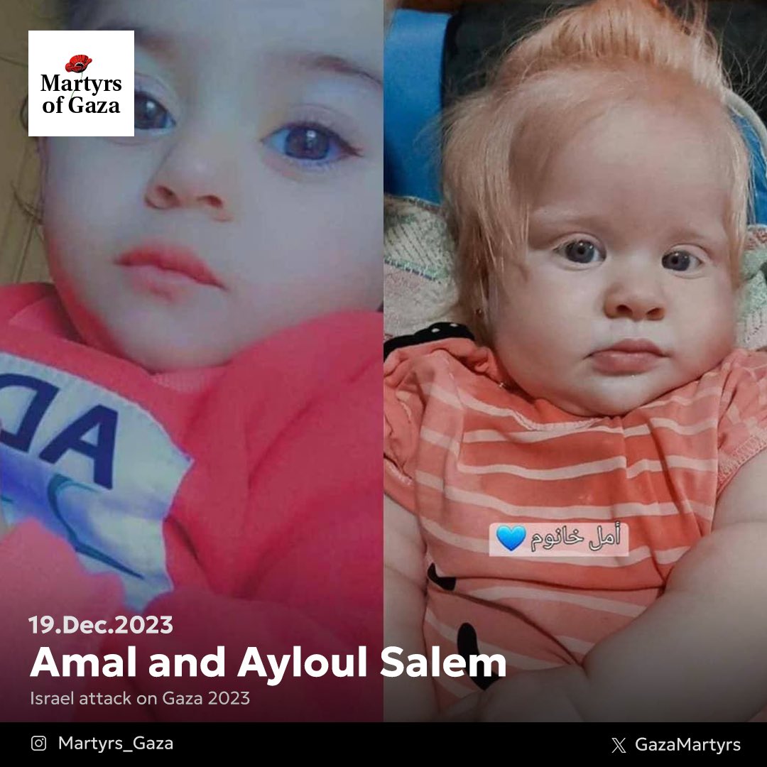 Image of martyr: Amal and Ayloul Salem