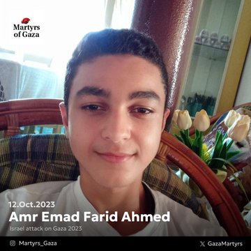 Image of martyr: Amr Emad Farid Ahmed