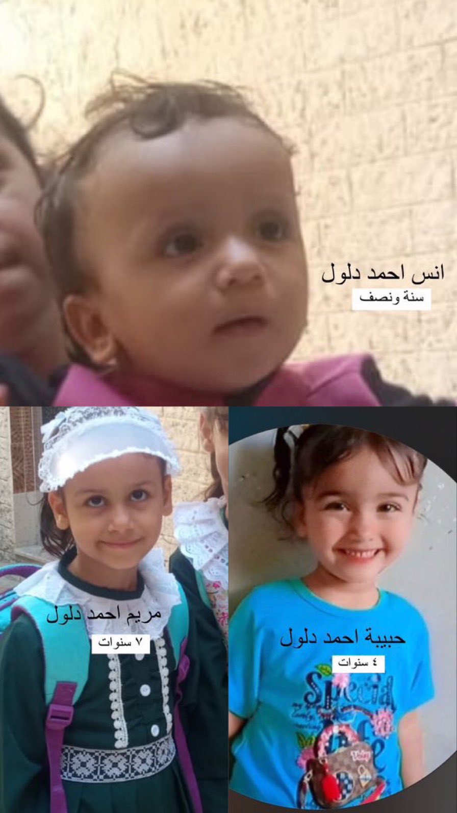 Martyr: Anas, Hbibah, and Maryam Daloul 0